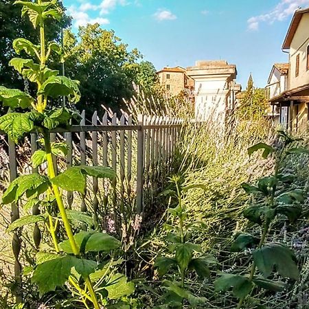Villa Elvira Ambra Kültér fotó