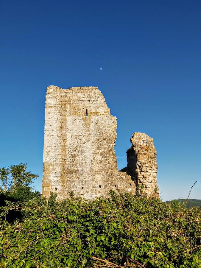 Villa Elvira Ambra Kültér fotó
