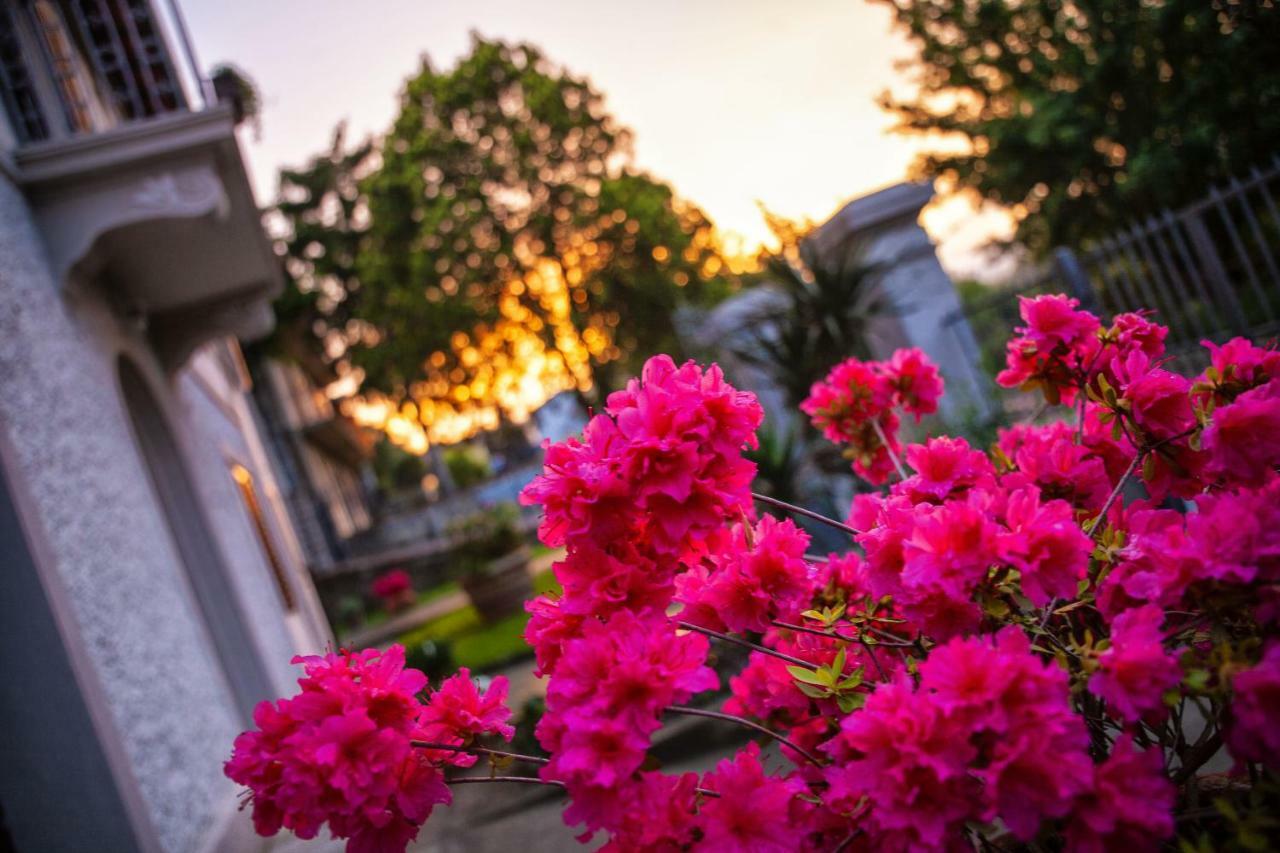 Villa Elvira Ambra Kültér fotó